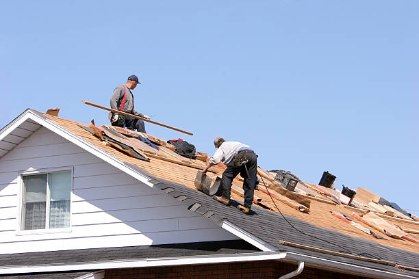 Best Wood Shake Roofing  in Cambridge, IL